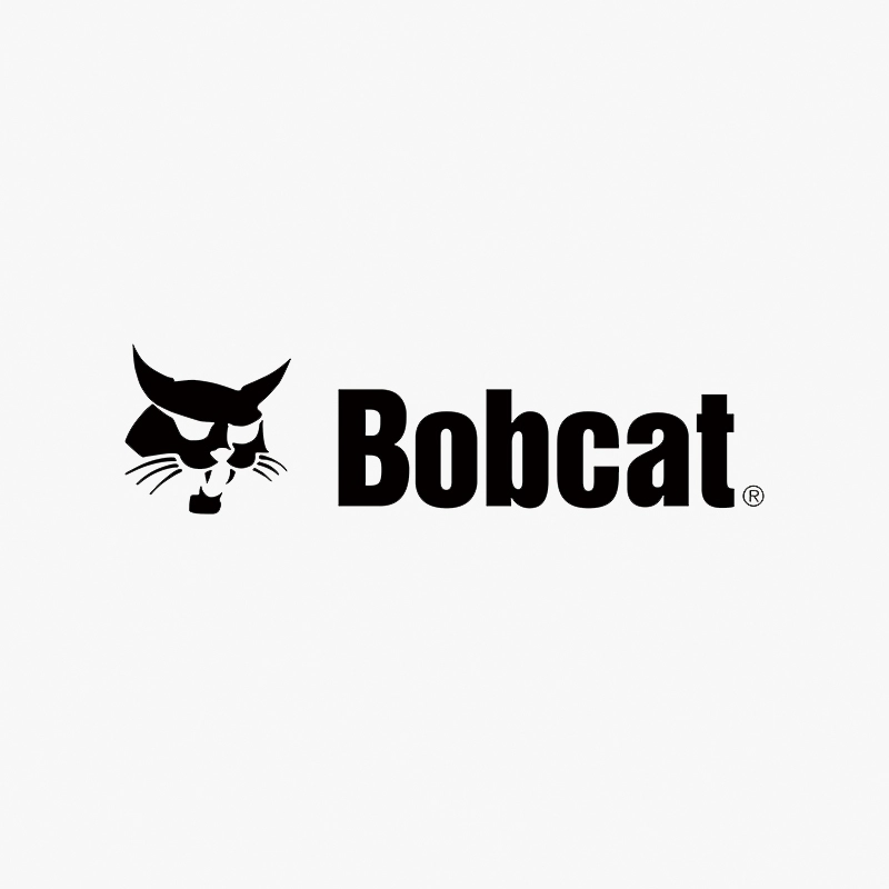 bobcat